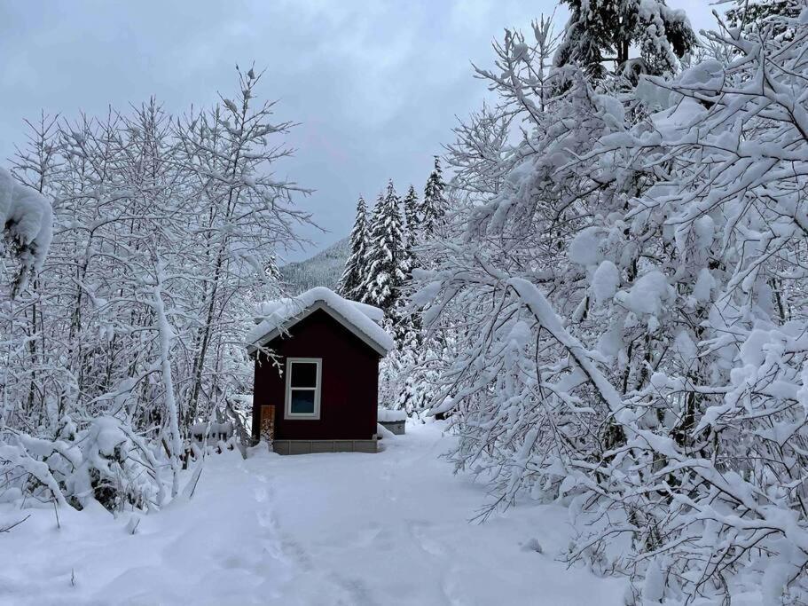 Cozy Tiny Home Steps Away From Mt. Rainier Ashford Esterno foto