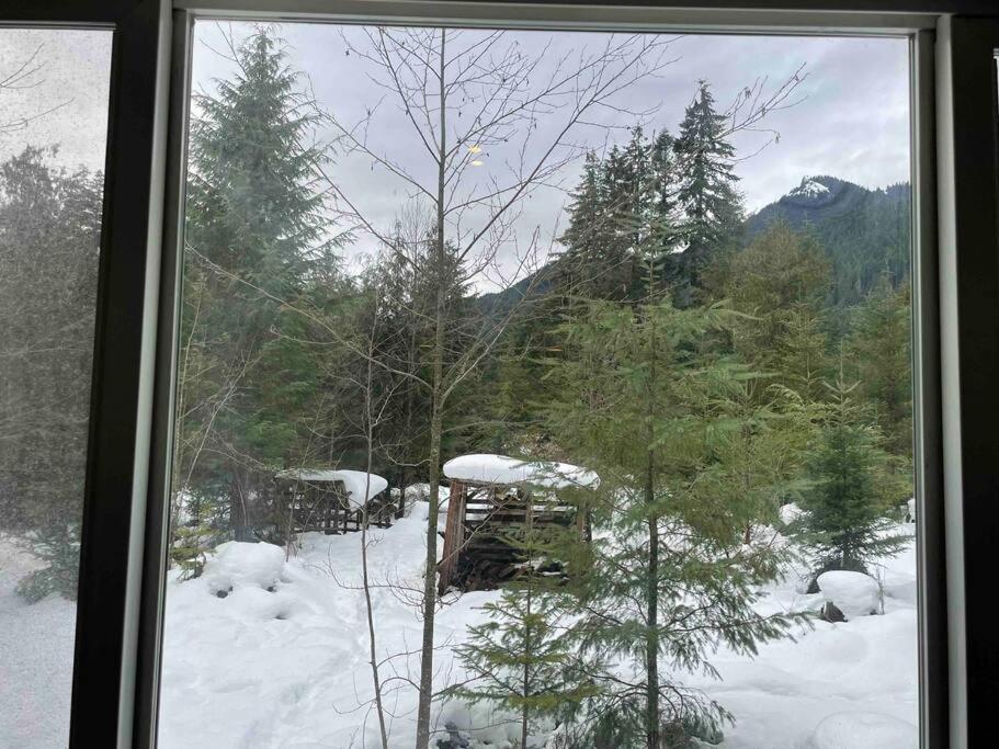 Cozy Tiny Home Steps Away From Mt. Rainier Ashford Esterno foto